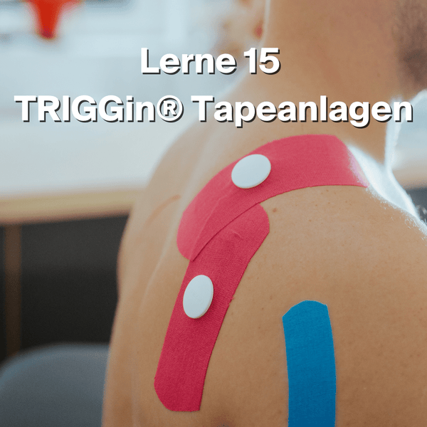 TRIGGin® Triggerknopf Fortbildung 18.11.2023