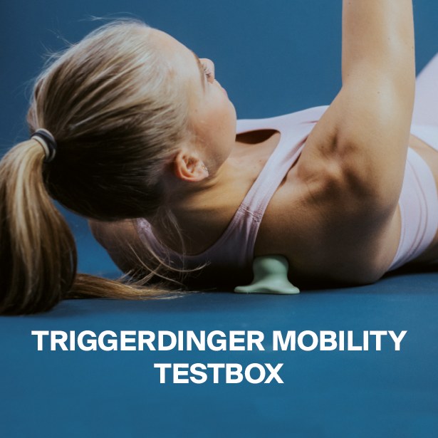 Triggerdinger Testbox